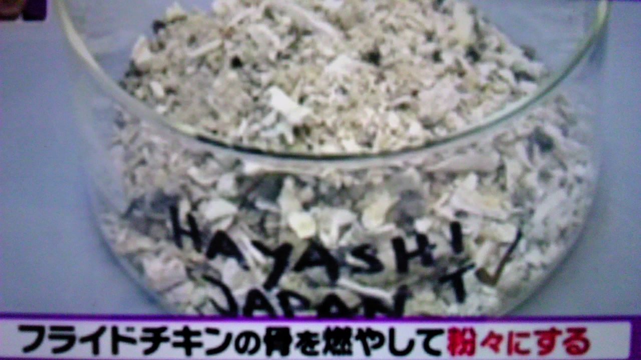フライドチキンで高級ダイヤを作る 蜻蛉の一人言
