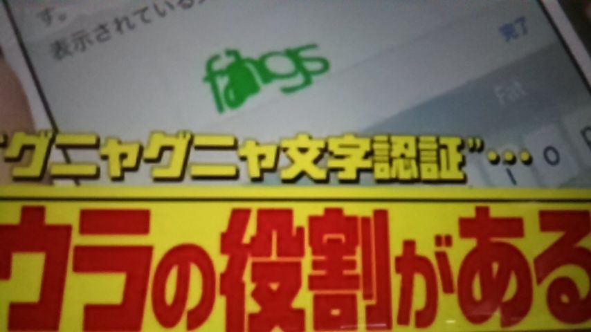 グニャグニャ文字認証には もう一つウラの役割がある 蜻蛉の一人言