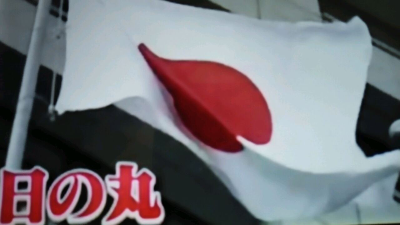 日の丸の紅色を決めたのは 1人の大学生 蜻蛉の一人言