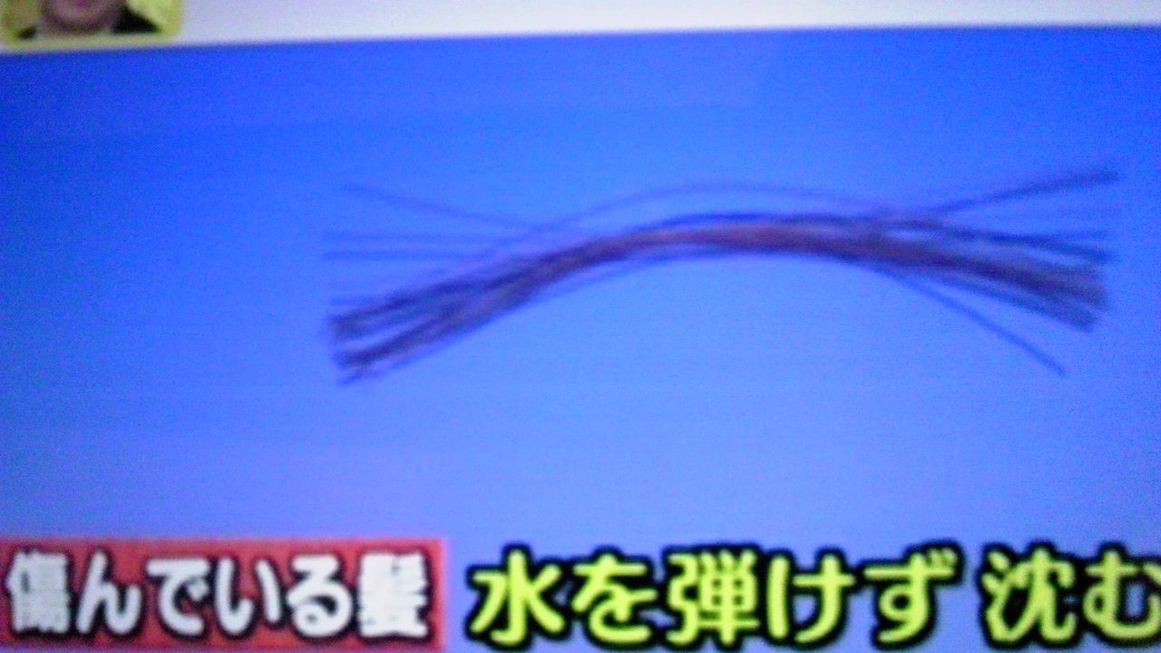 傷んでいる髪の毛と傷んでいない髪の毛の差 蜻蛉の一人言 傷んでいる髪の毛と傷んでいない髪の毛の差 蜻蛉の一人言