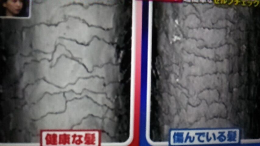 髪が傷んでいるかどうかは 水に浸けると分かる 蜻蛉の一人言 髪が傷んでいるかどうかは 水に浸けると分かる 蜻蛉の一人言