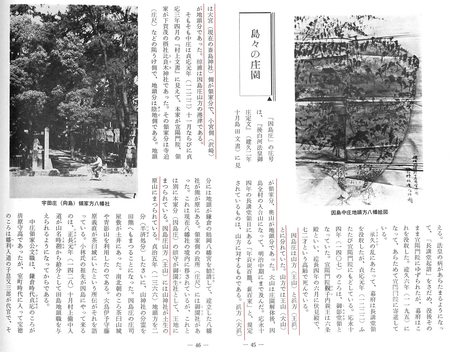 因島周辺の地名の由来 その1 とんぼ草 因島周辺の地名の由来 その1 とんぼ草