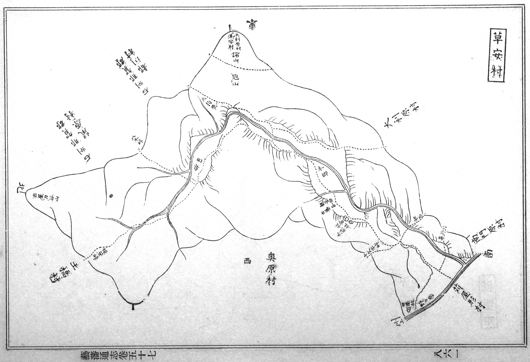 とんぼ草