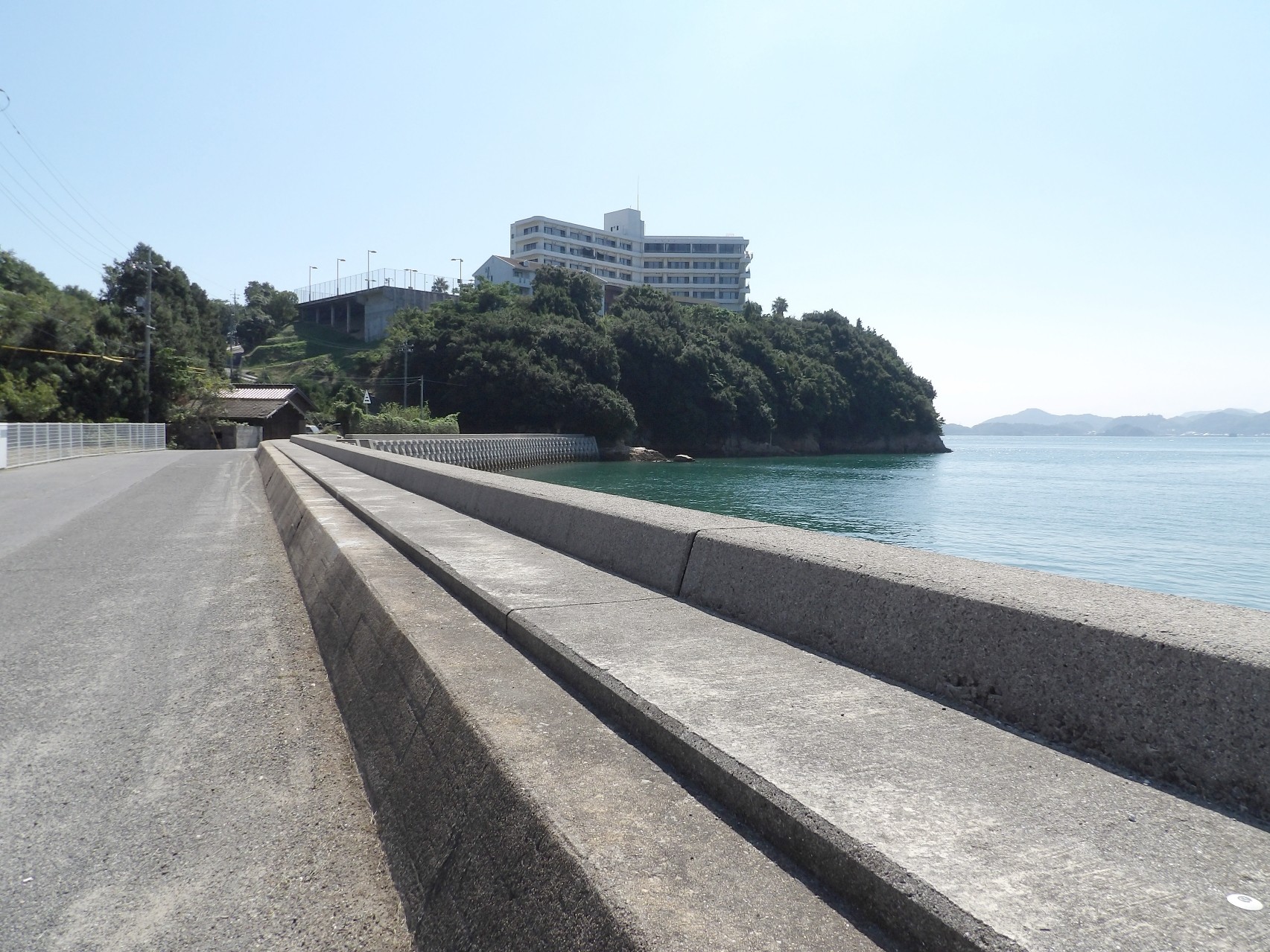 N 岩城島 加茂城 越窓城 とんぼ草