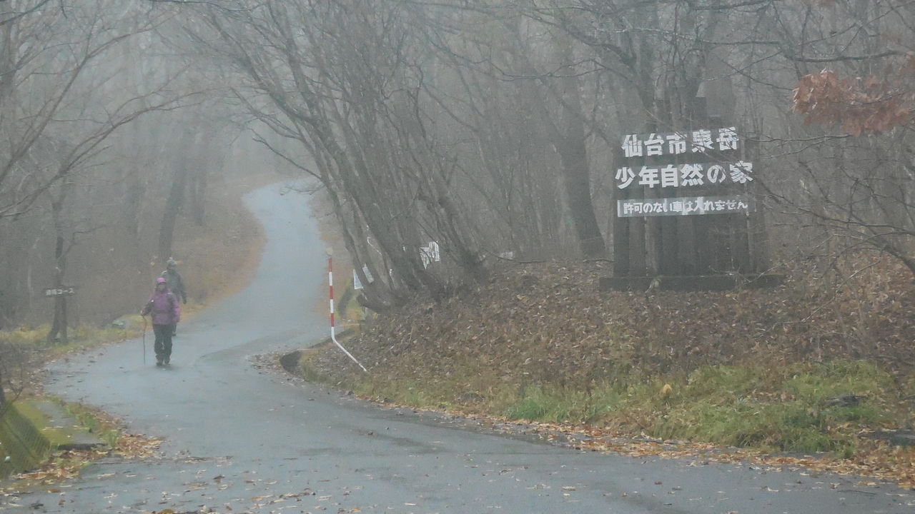 泉ヶ岳 表コース 滑降コースへ とむかのブログ