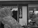 P7260278mono