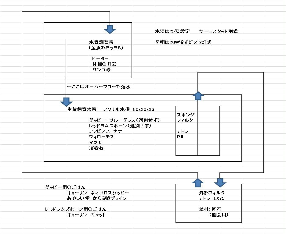トメレックス流 水槽の構成 トメレックスのいろんなメモ帳 トメレックス流 水槽の構成 トメレックスのいろんなメモ帳