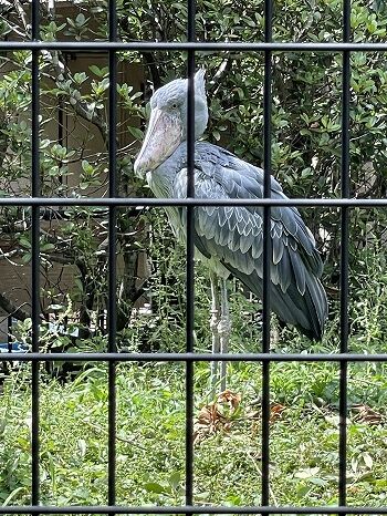 IMG_0692