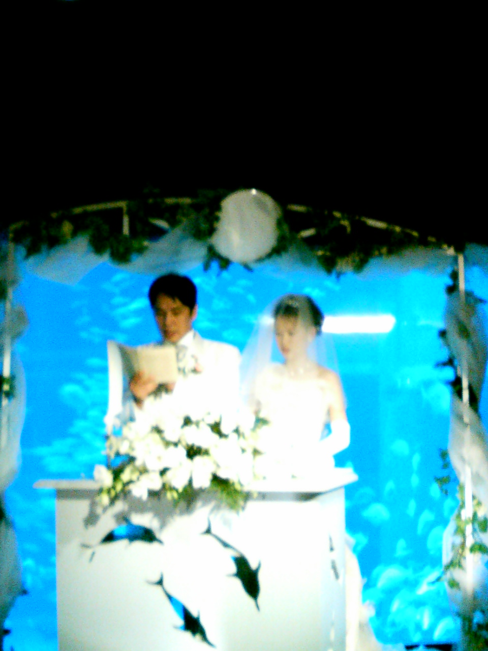 Saori S Wedding At 海遊館 To My Family