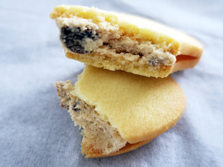 tbanana_raisin7
