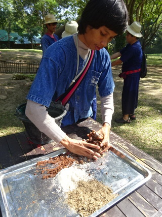 「MAESA ELEPHANT CAMP」