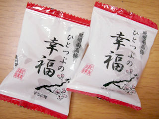 和歌山:ひとつぶの幸福