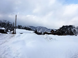 「白川郷」