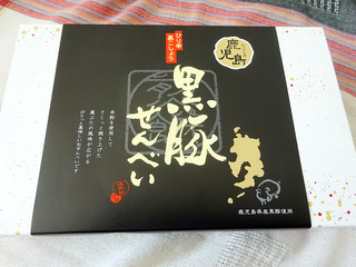 kagoshimam47