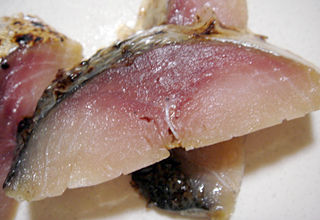 鯖の冷燻
