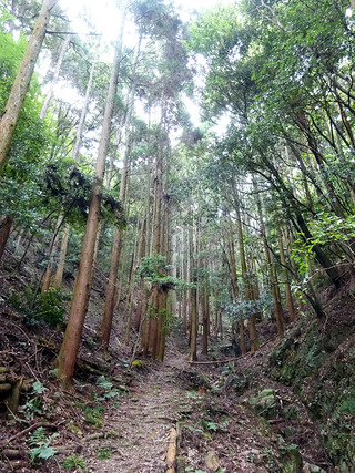 箕面の滝