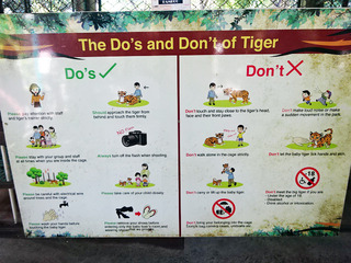 Tiger Kingdom