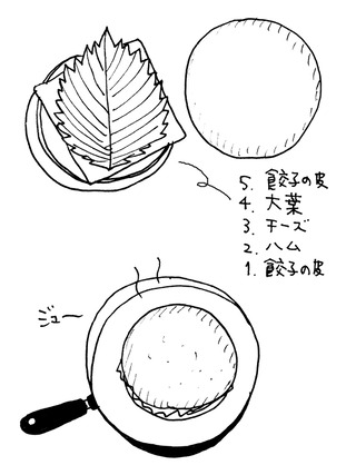 gyoza_hamcheese