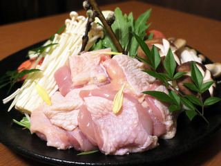 yoshikawa1