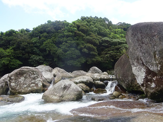 屋久島散策