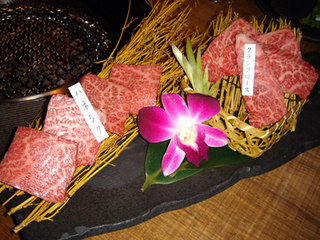「松阪牛焼肉M 北新地店」クラシタハネシタ