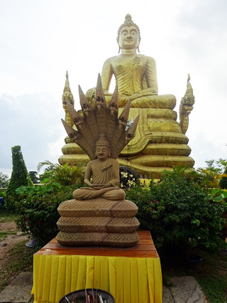 Big Buddha&View