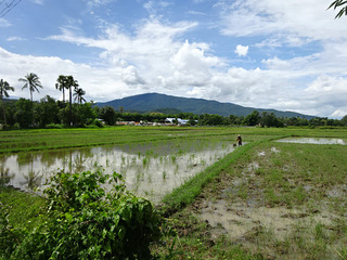 Ban Rai Kong Khing