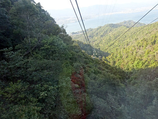 宮島散策