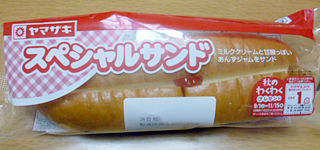 スペシャルサンド
