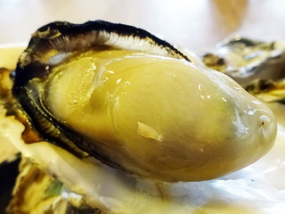 伊勢グルメ巡り