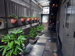「あずき色のマーカス」