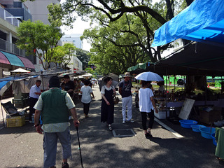 高知旅