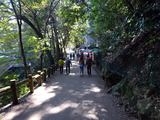 箕面の滝散策