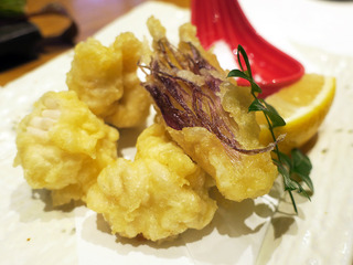 kaiya24