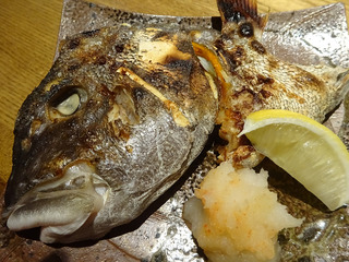 「鯛之鯛」