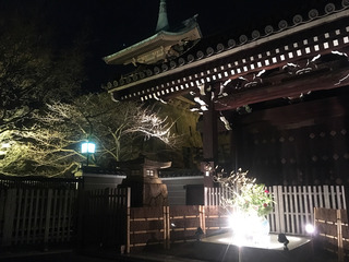 「京都・花灯路」