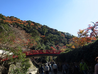 2018箕面の滝