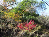 貴船・鞍馬