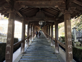 奈良旅