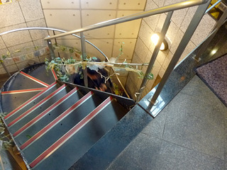 「マナカマナ」