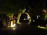 「Sukhothai Treasure Resort & Spa」