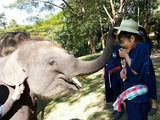 「MAESA ELEPHANT CAMP」