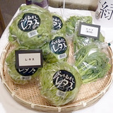 「うどん県。それだけじゃない香川県」