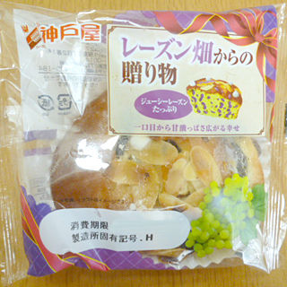 レーズン畑からの贈り物