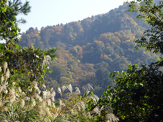 三徳山