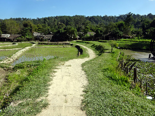 「Baan Tong Luang」