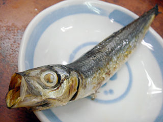 「時」めざし
