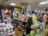 高知旅