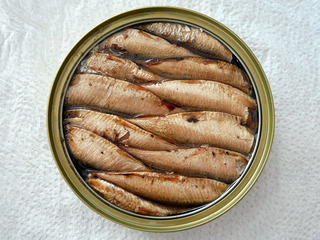 sardine14