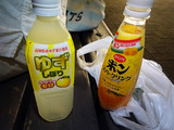 高知旅